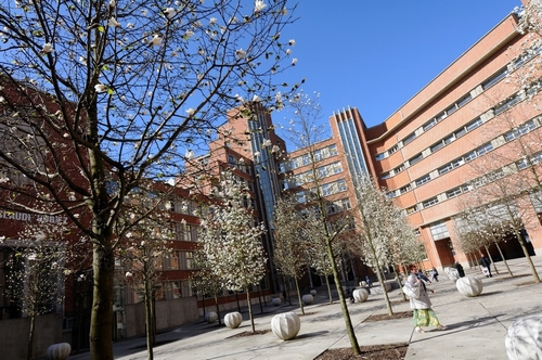 Photo de l'hopital Claude Huriez